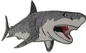 Aplike Dimi Kumaş Arka Plan Üzerinde Büyük Beyaz Köpekbalığı İşlemeli Yama Demiri
