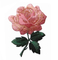 #4535 3 1/4 &quot;Pembe Gül Çiçek Nakış Aplike Yama Ütü